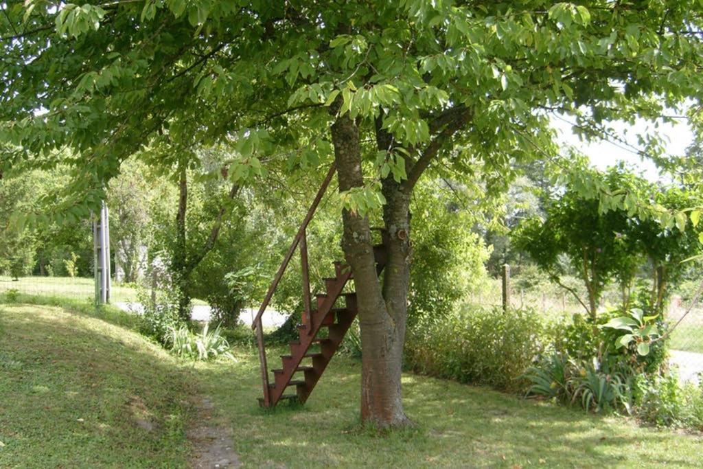 Petite Maison Au Bord Du Canal, 8' Zoo De Beauval, Pmr Noyers-sur-Cher Exteriér fotografie